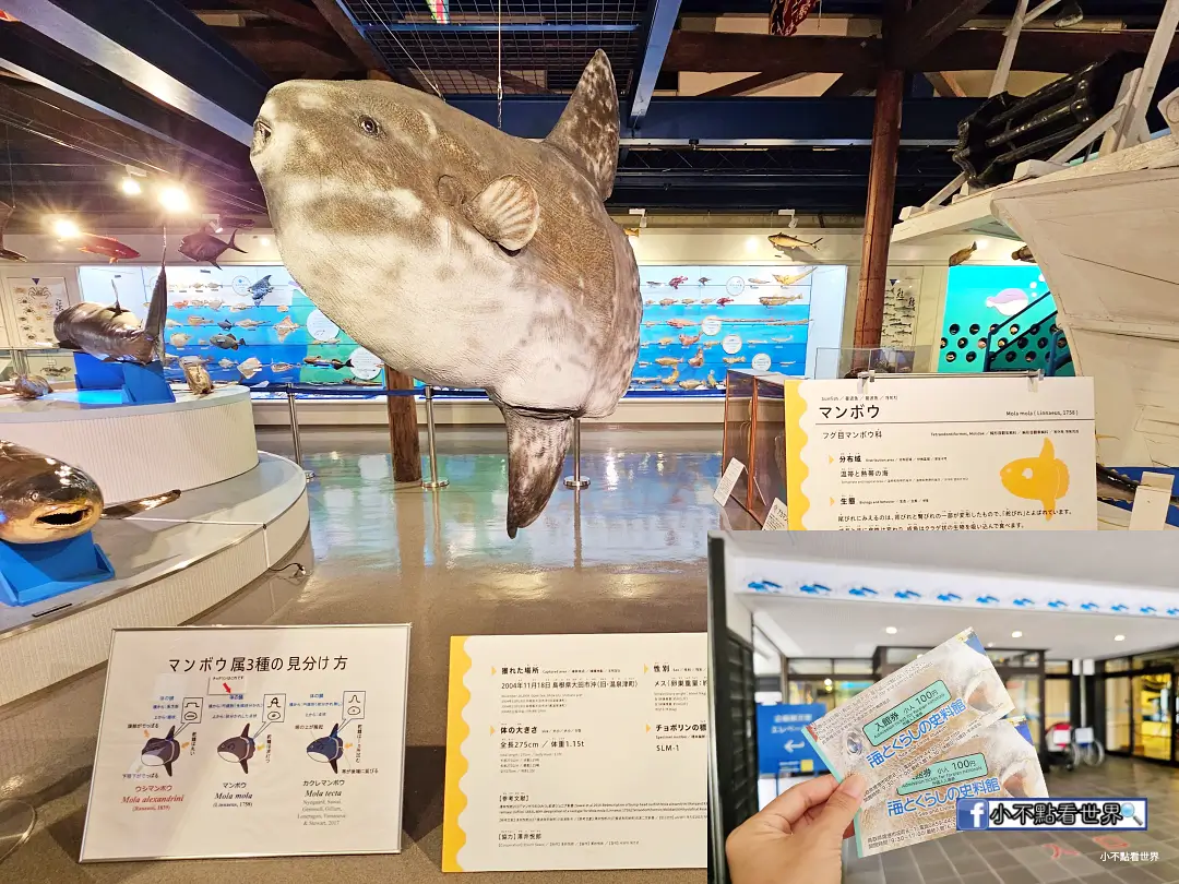 虎航直飛米子 鳥取自由行五日 虎航直飛米子 鳥取自由行五日