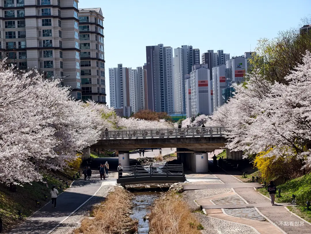 首爾包車推薦-華情旅遊一日遊