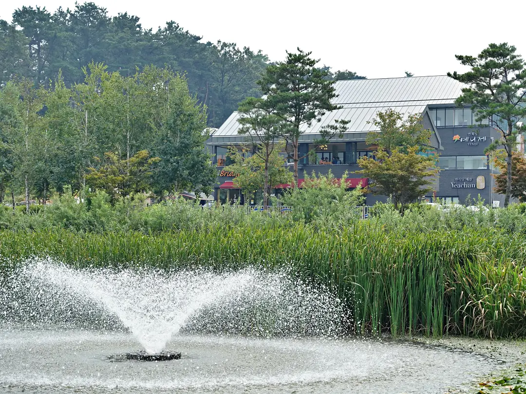安城 安城