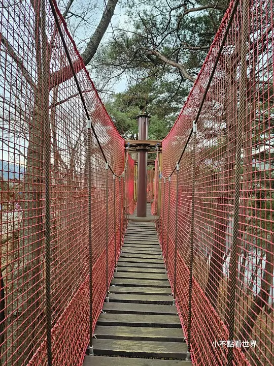 青陽天莊湖吊橋 青陽天莊湖吊橋