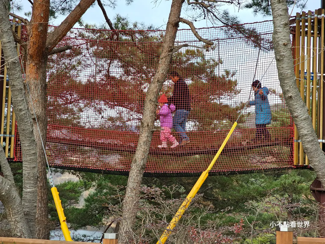 青陽天莊湖吊橋 青陽天莊湖吊橋