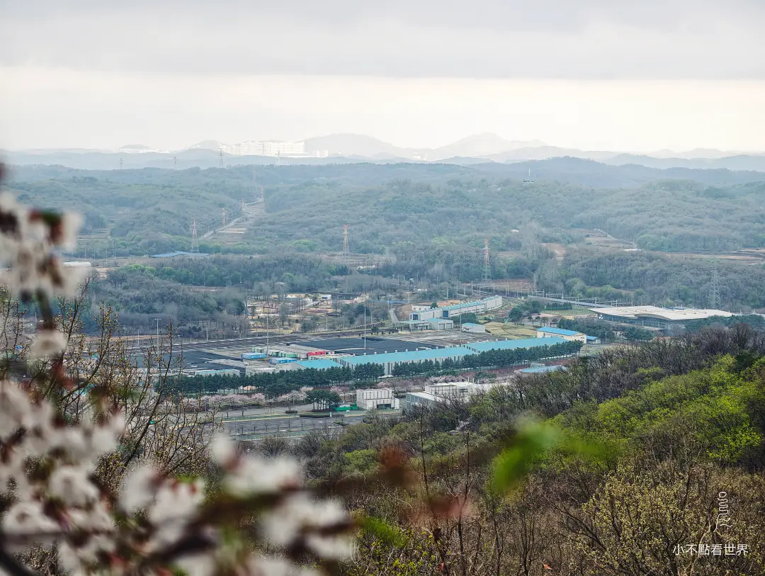 DMZ 非軍事區之旅 DMZ 非軍事區之旅