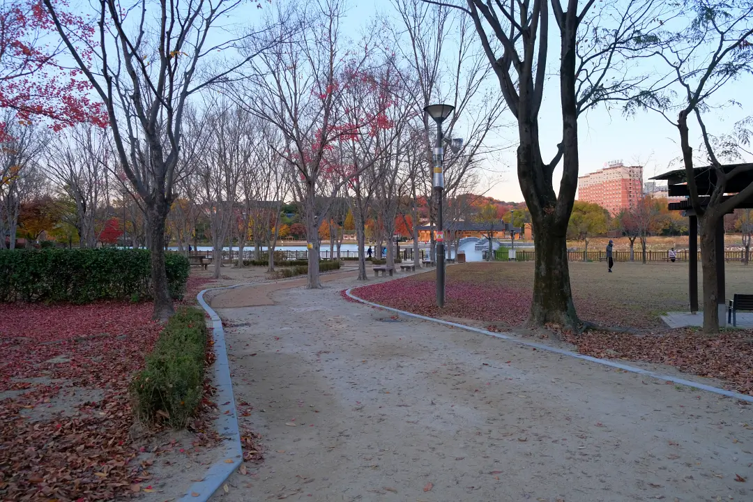 全州蓮花亭圖書館