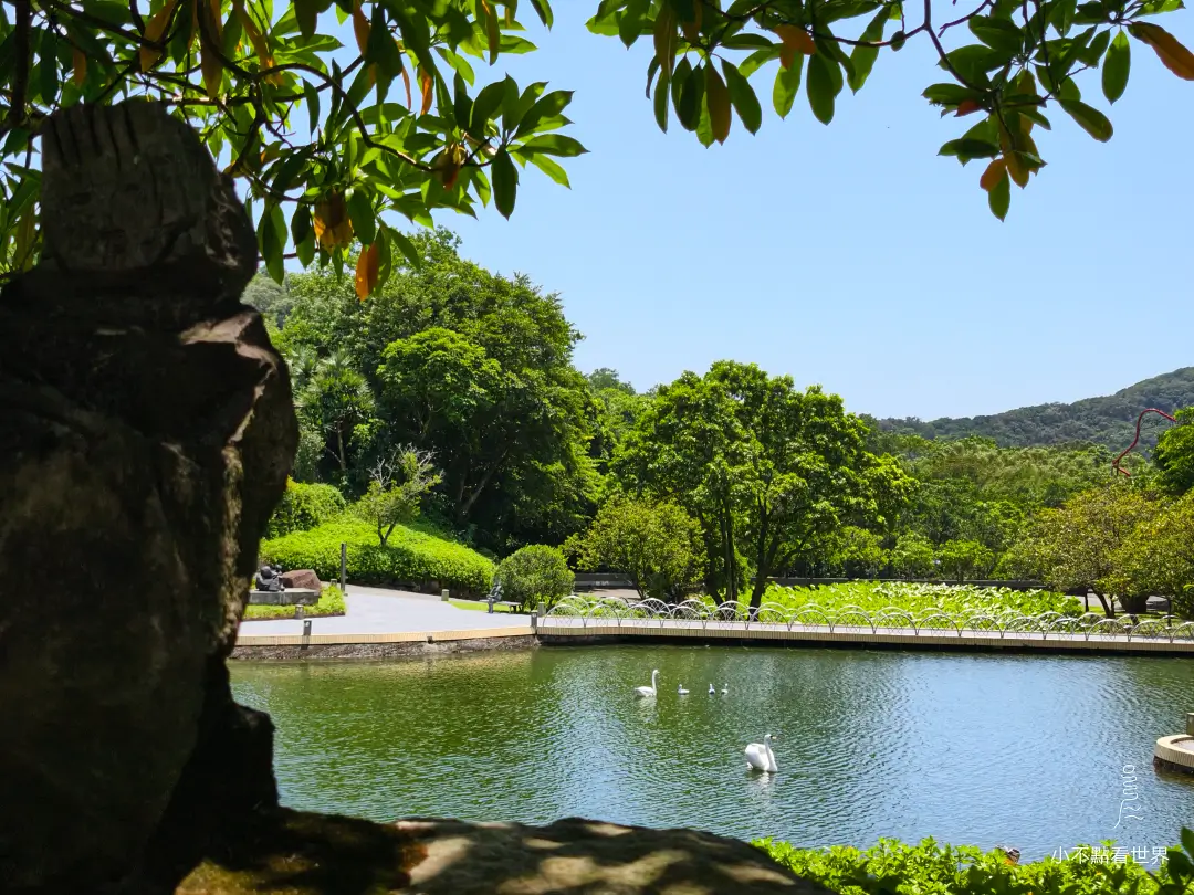 朱銘美術館戶外水池景觀 朱銘美術館戶外水池綠地樹木及山林景觀