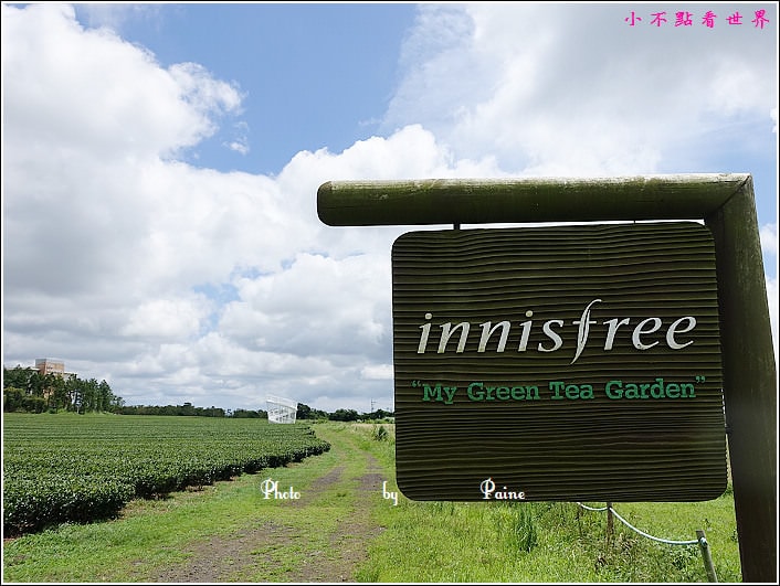 濟州島innisfree館 綠茶博物館 (65).JPG