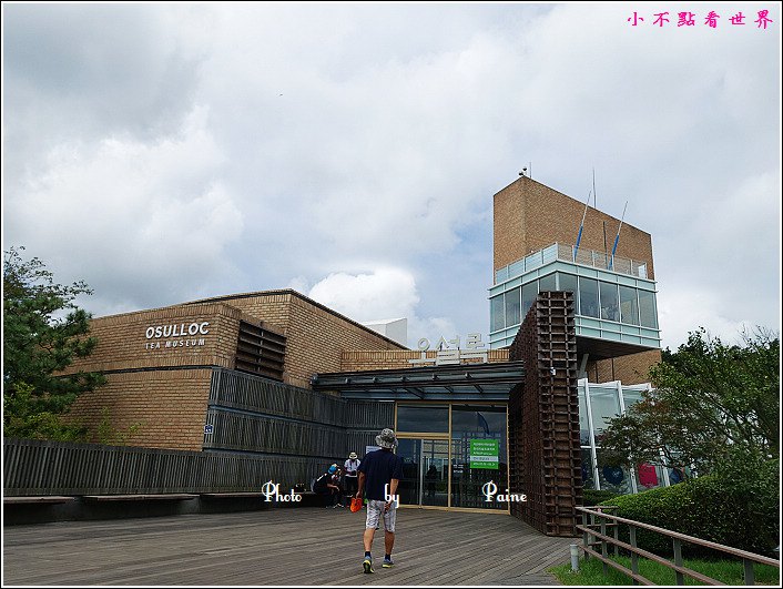 濟州島innisfree館 綠茶博物館 (7).JPG