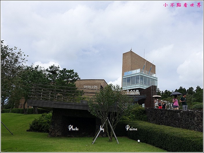濟州島innisfree館 綠茶博物館 (5).JPG
