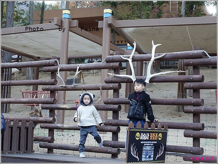 釜山動物園 (36).JPG