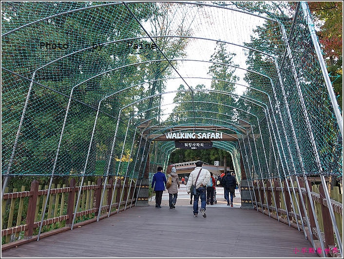 釜山動物園 (12).JPG