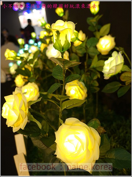 高陽國際花卉博覽 (61).JPG