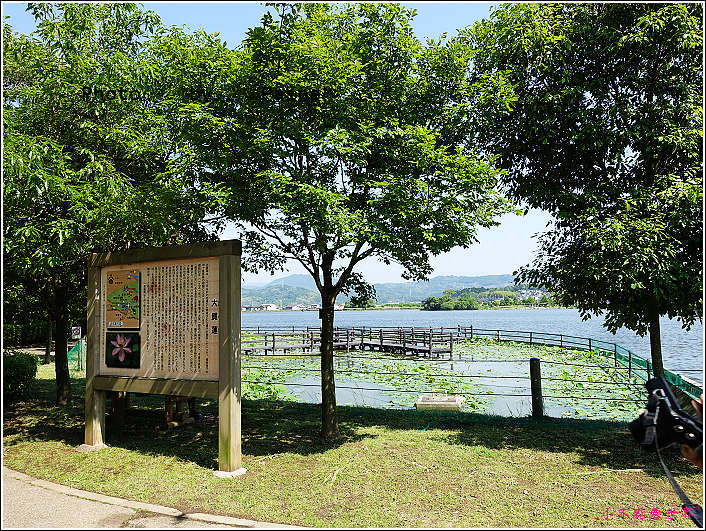 和歌山大池遊園-平池綠地公園 (17).JPG