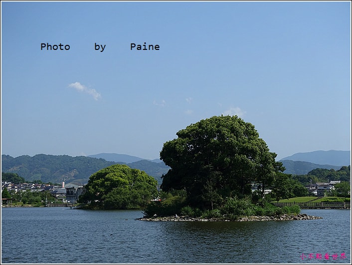 和歌山大池遊園-平池綠地公園 (19).JPG
