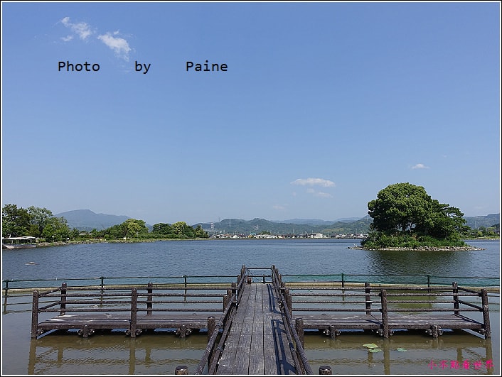 和歌山大池遊園-平池綠地公園 (25).JPG