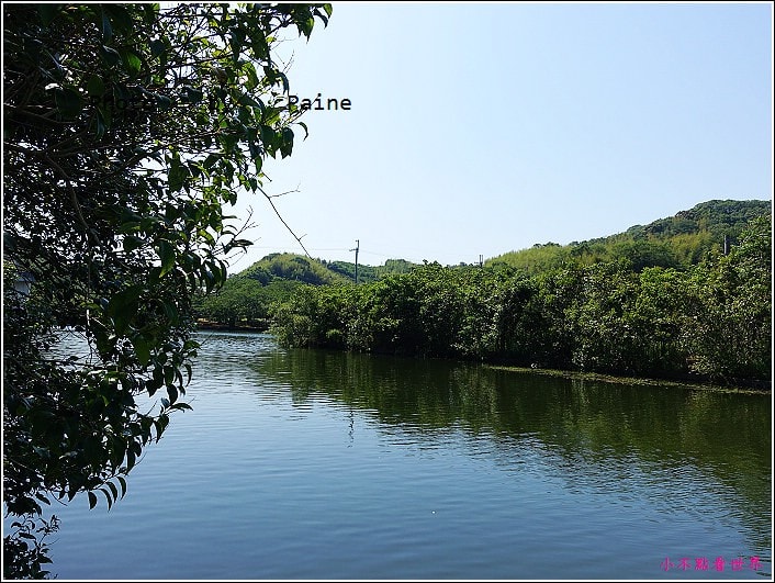 和歌山大池遊園-平池綠地公園 (4).JPG
