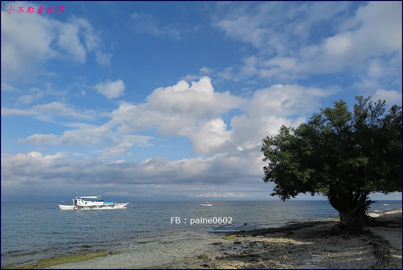 巴里卡薩島Balicasag Island大斷層浮潛 (46).JPG